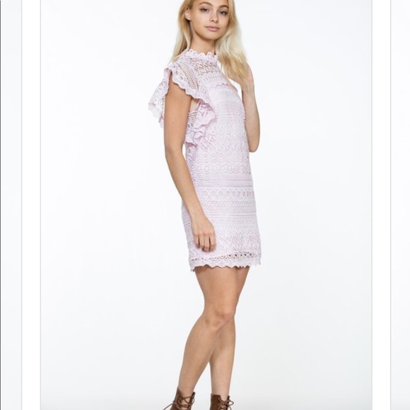 Boutique Lace Dress - Picture 6 of 8